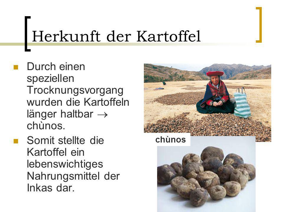 Chinesisch muskusnaja die Salbe von der Hämorrhoide die Beschreibung